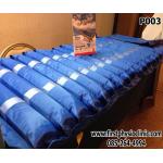 FIRSTPHYSIO/ที่นอนลมป้องกันแผลกดทับ (Air Mattress)