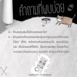 ส่วนผสมของไหมพรม