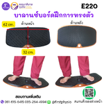 บาลานซ์บอร์ดฝึกการทรงตัว / FUNCTIONAL BALANCE BOARD