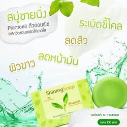 สบู่ชายนิ่ง สบู่จากสเต็มเซลล์พืช ธรรมชาติล้วนๆ ลดสิวได้ทั้งผิวหน้าและผิวกาย