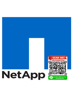 NetApp X363A-R6 Disk 3.8TB SSD 3.5"