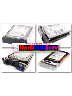 7100407 ,7020384 ,SUN 300GB 10K 3.5inch SAS Server Hard Disk Drive