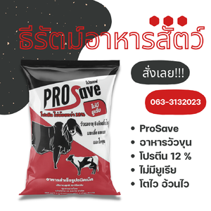 Co A (โค เอ)