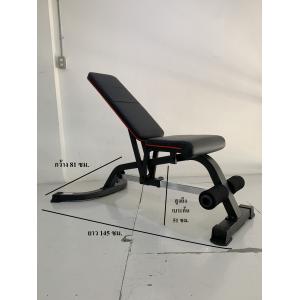 ม้าดัมเบล 281