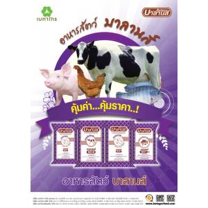 อาหารสัตว์ บาลานส์