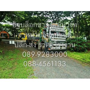 แผ่นปูทางเดิน จัดส่งถึงลูกค้า