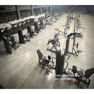 Fitness : Elite Gym แม่สอด