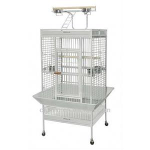 อุปกรณ์สัตว์เลี้ยง ไก่ชน นก