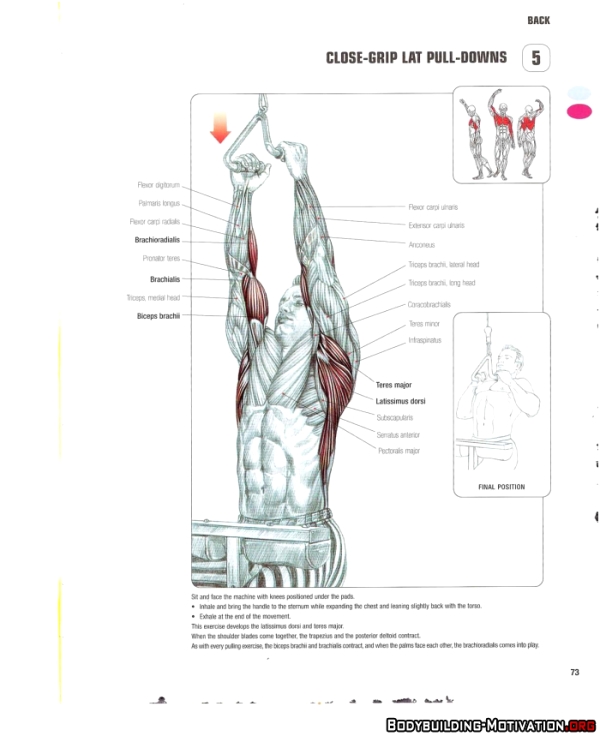 Multi Exercise Bar อุปกรณ์ช่วยเล่นกล้ามเนื้อหลัง/ปีก (สำหรับเครื่องเคเบิ้ล)