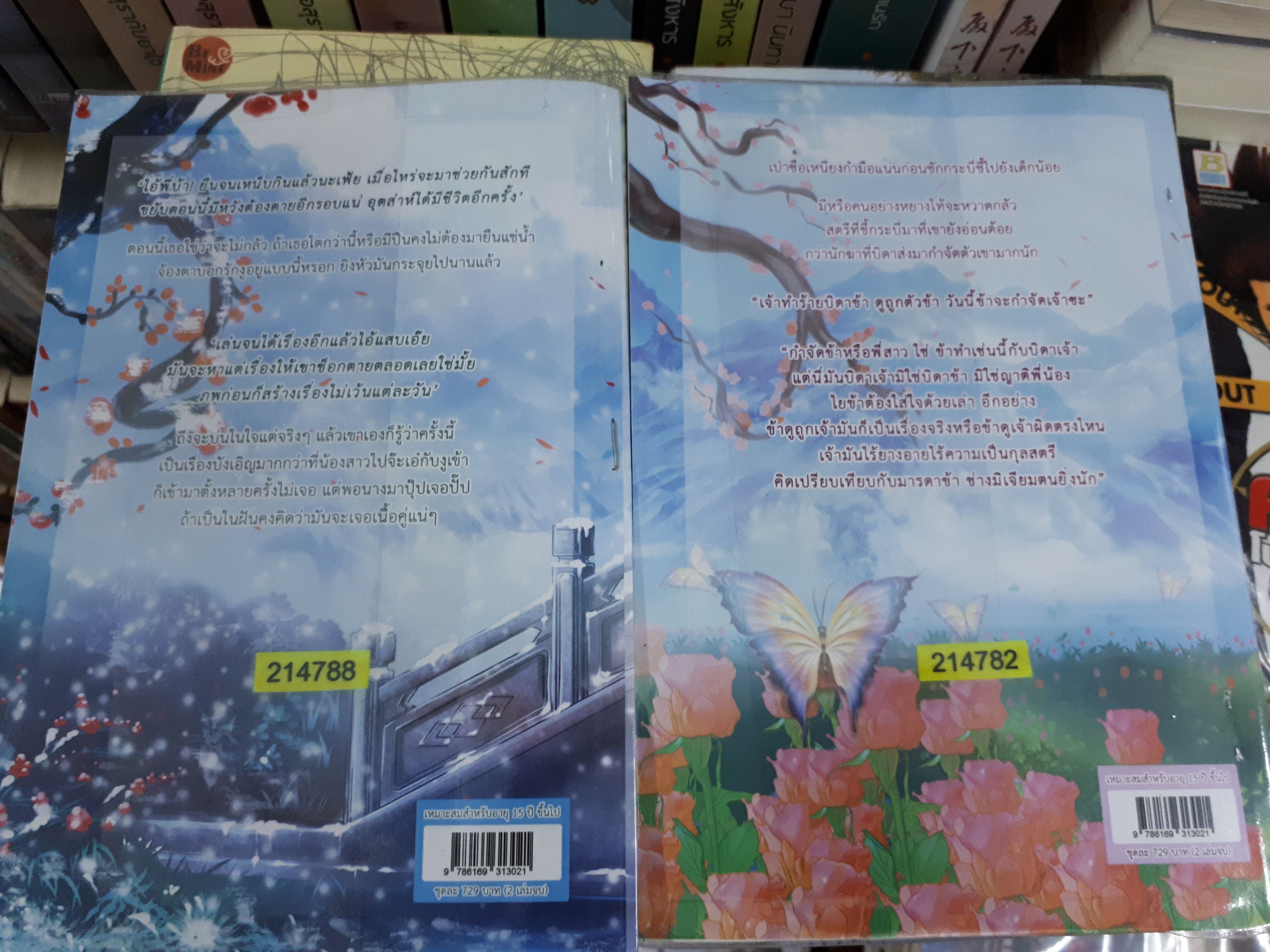 แฝดสะท้านภพ ตอน จอมใจจอมทัพ 1-2(จบ)