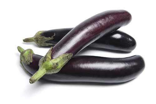 มะเขือยาวม่วง thai eggplant