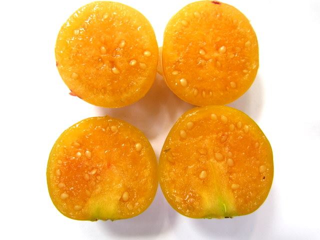 ต้นเคพกูสเบอร์รี่