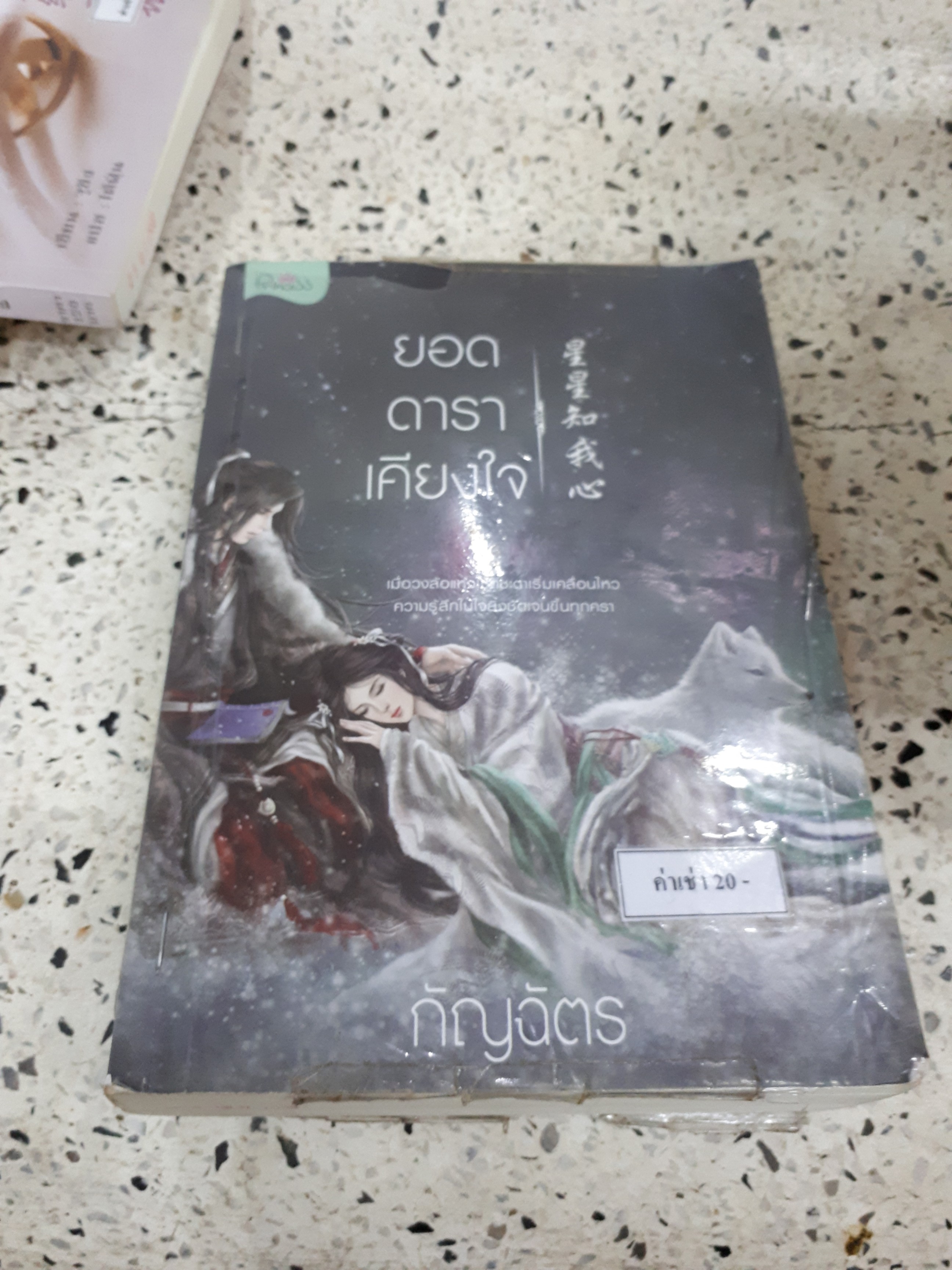 ยอดดาราเคียงใจ /กัญฉัตร
