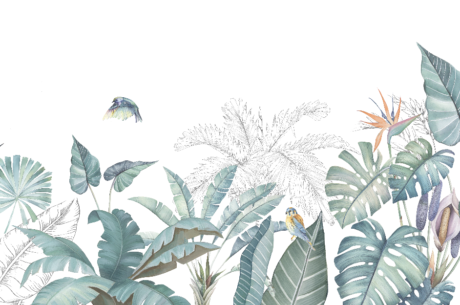 วอลเปเปอร์ภาพป่าเขตร้อน Tropical (สั่งผลิต)