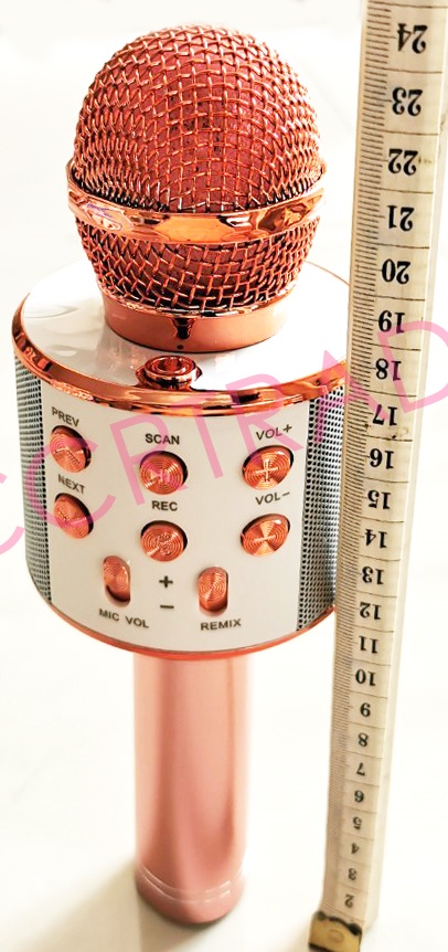 ไมโครโฟน Bluetooth มีลำโพงในตัวกล่อง 25 ซม.(1x3)