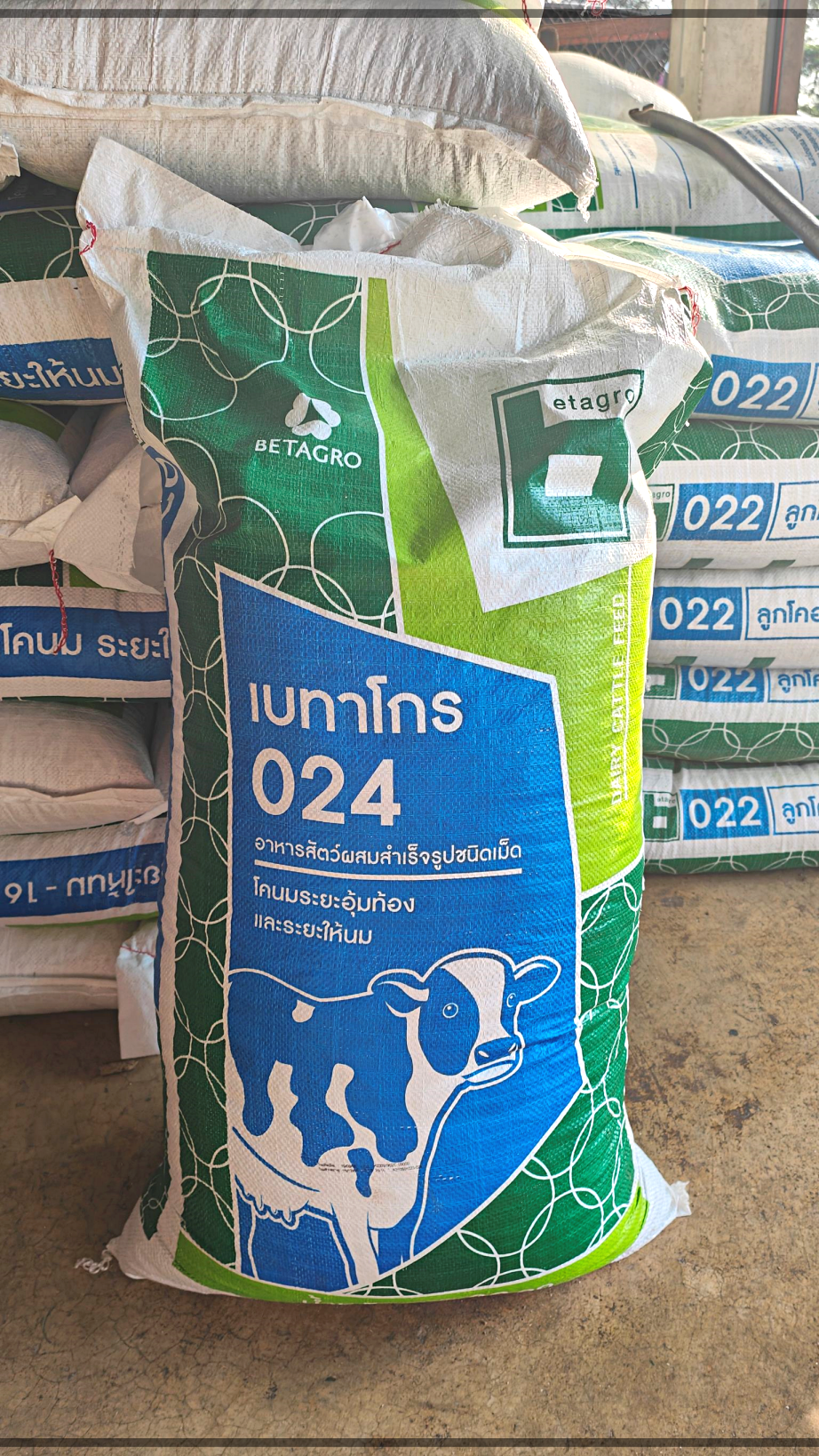 ิBetagro Feed อาหารวัวนมระยะให้นม เบทาโกร 024 โปรตีน 16 %