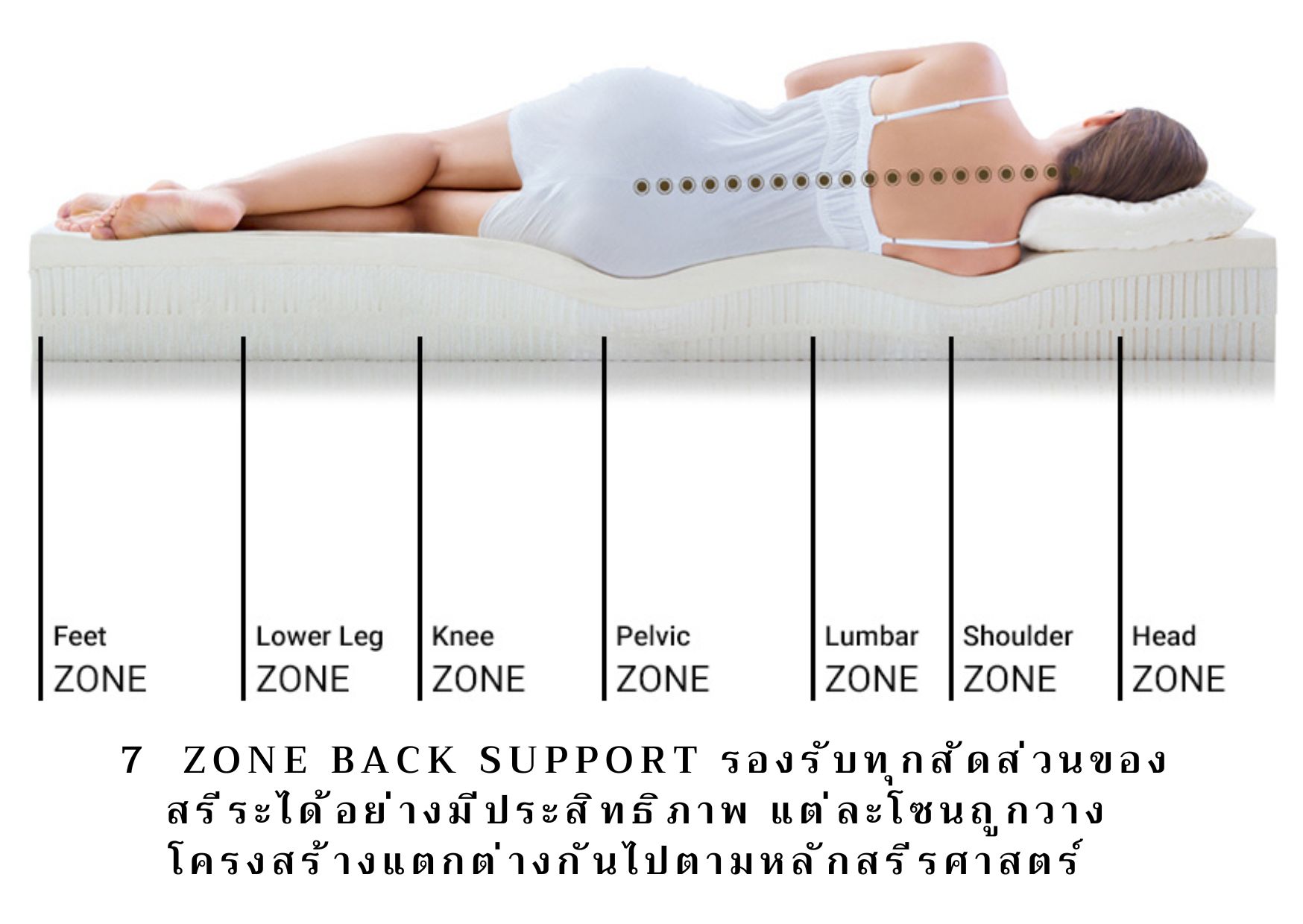 บอกลาปวดหลังด้วย Rehab 7- Zone Back support ที่นอนยางพารา on top ยางพารา ขนาด 3.5-5-6 ฟุต หนา 2 นิ้ว