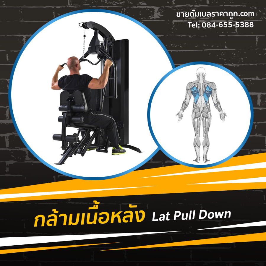 Home Gym รุ่น IRON 980