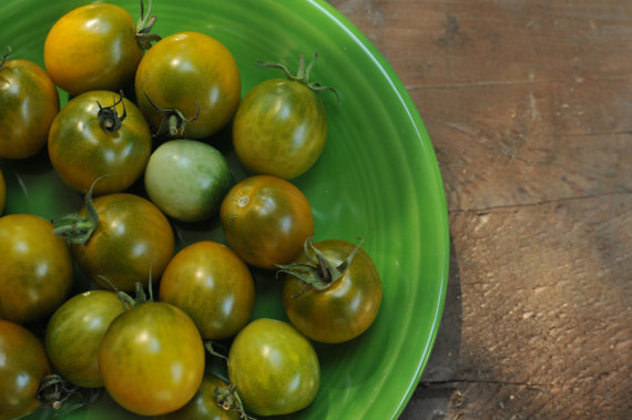 Green Cherry Tomato มะเขือเทศเชอร์รี่สีเขียว 20 เมล็ด