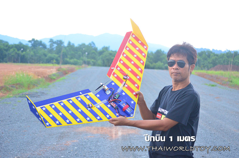 ปีกบินบังคับ 1,000MM.