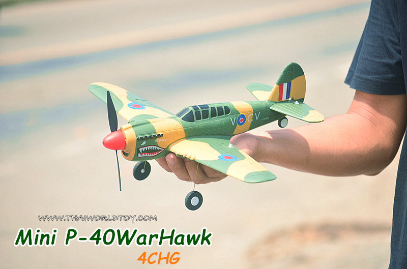 P-40 Warhawk Mini Rc 6G 4Ch