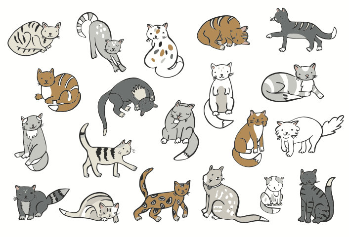 วอลเปเปอร์ห้องเด็ก ลายการ์ตูน (สั่งผลิต)