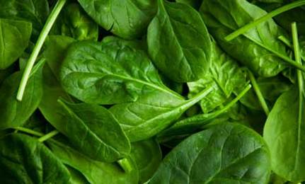 ผักโขมเขียว green-spinach