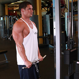 CABLE CURL BAR อุปกรณ์ช่วยเล่นกล้ามเนื้อแขนหน้าและหลัง (สำหรับเครื่องเคเบิ้ล)