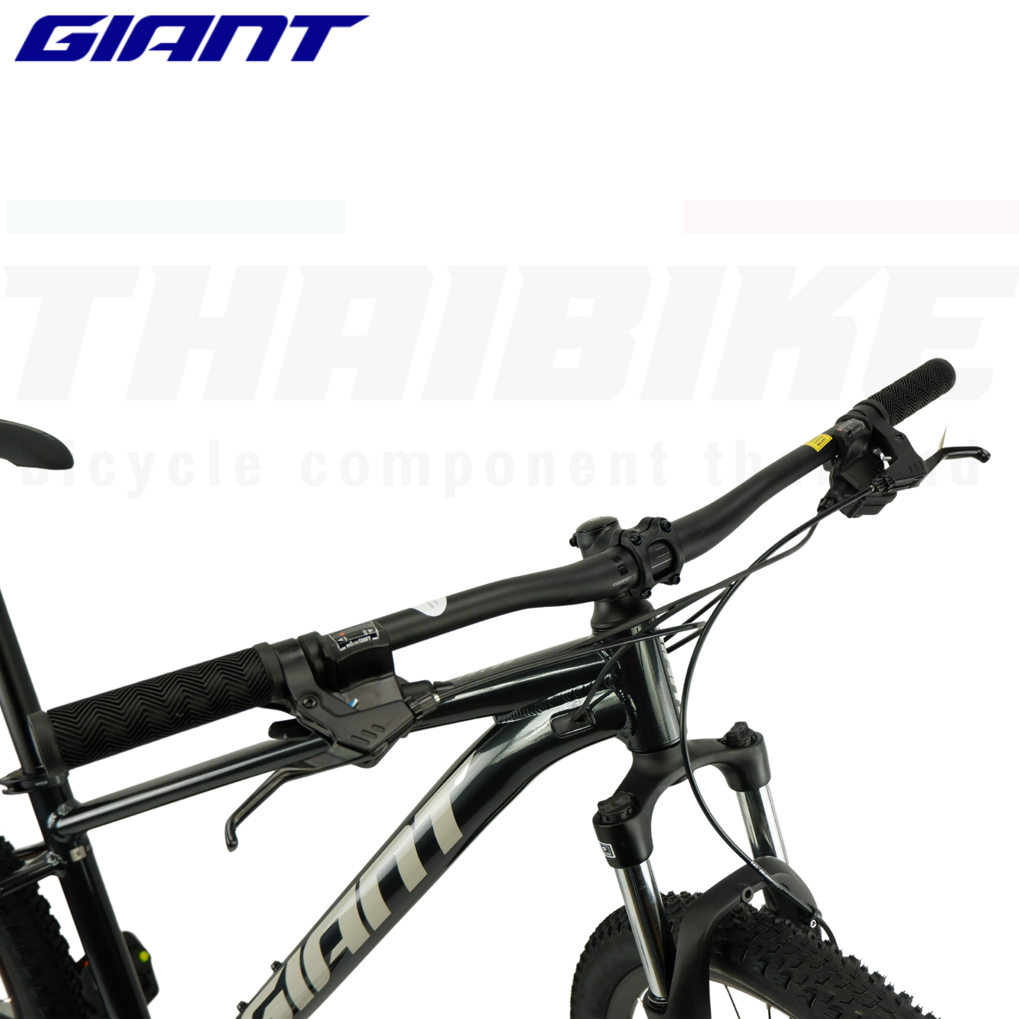 จักรยานเสือภูเขา Giant Talon 29 4 Mountain Bike