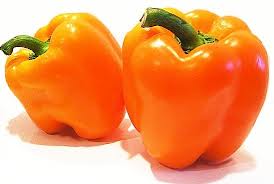 orange pepper seed เมล็ดพริกหวานสีส้ม 10 เมล็ด