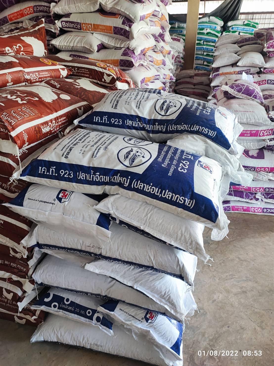 อาหารปลาช่อน ปลากราย KT 923 ปริมาณโปรตีน 40 % สำหรับปลาใหญ่ บรรจุ 20 กก (ปลาหลิม ในภาษาเหนือ)