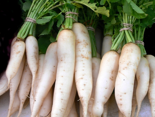 หัวไชเท้า/ผักไควาเระ Daikon