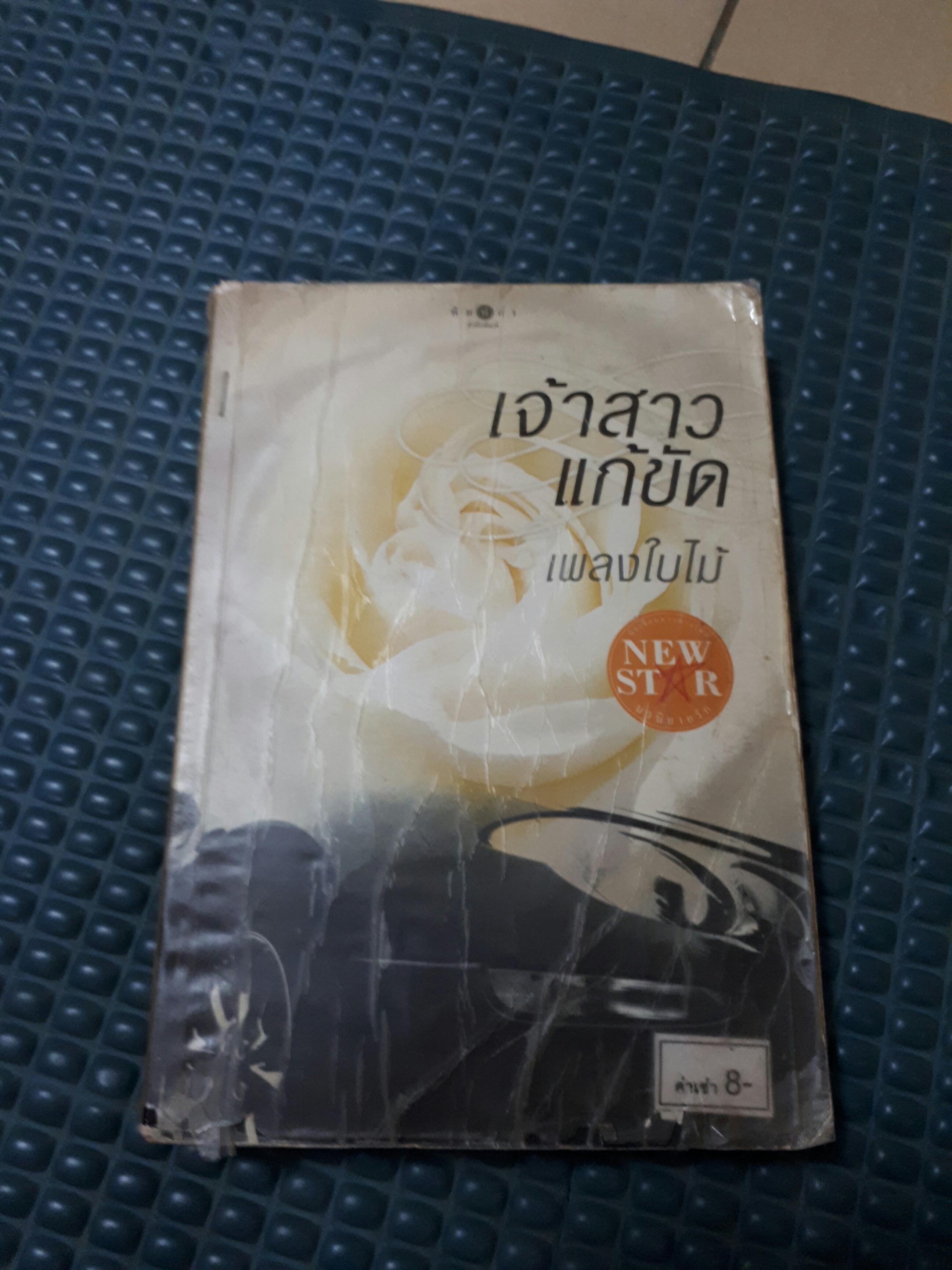 เจ้าสาวแก้ขัด /เพลงใบไม้