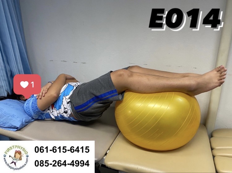 ลูกบอลฝีกกายภาพบำบัด /(Fit Ball)/ลูกบอลออกกำลังกาย/บอลบริหาร/ลูกบอลโยคะ/gym ball