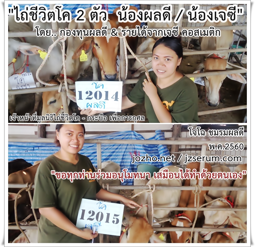 ตัวอย่างกิจกรรมบุญ