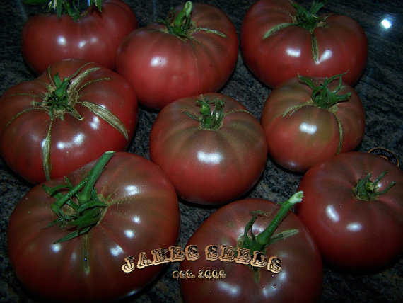 Cherokee Purple Tomato เชโรกีสีม่วงมะเขือเทศ 20 เมล็ด