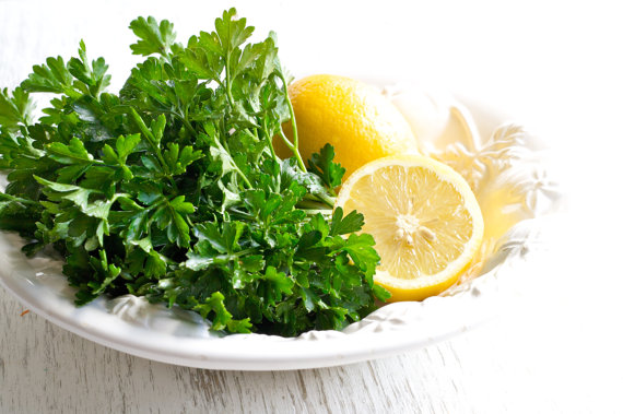 Green Parsley Petroselinum hortense Hoffm Curly leaf Hamburg