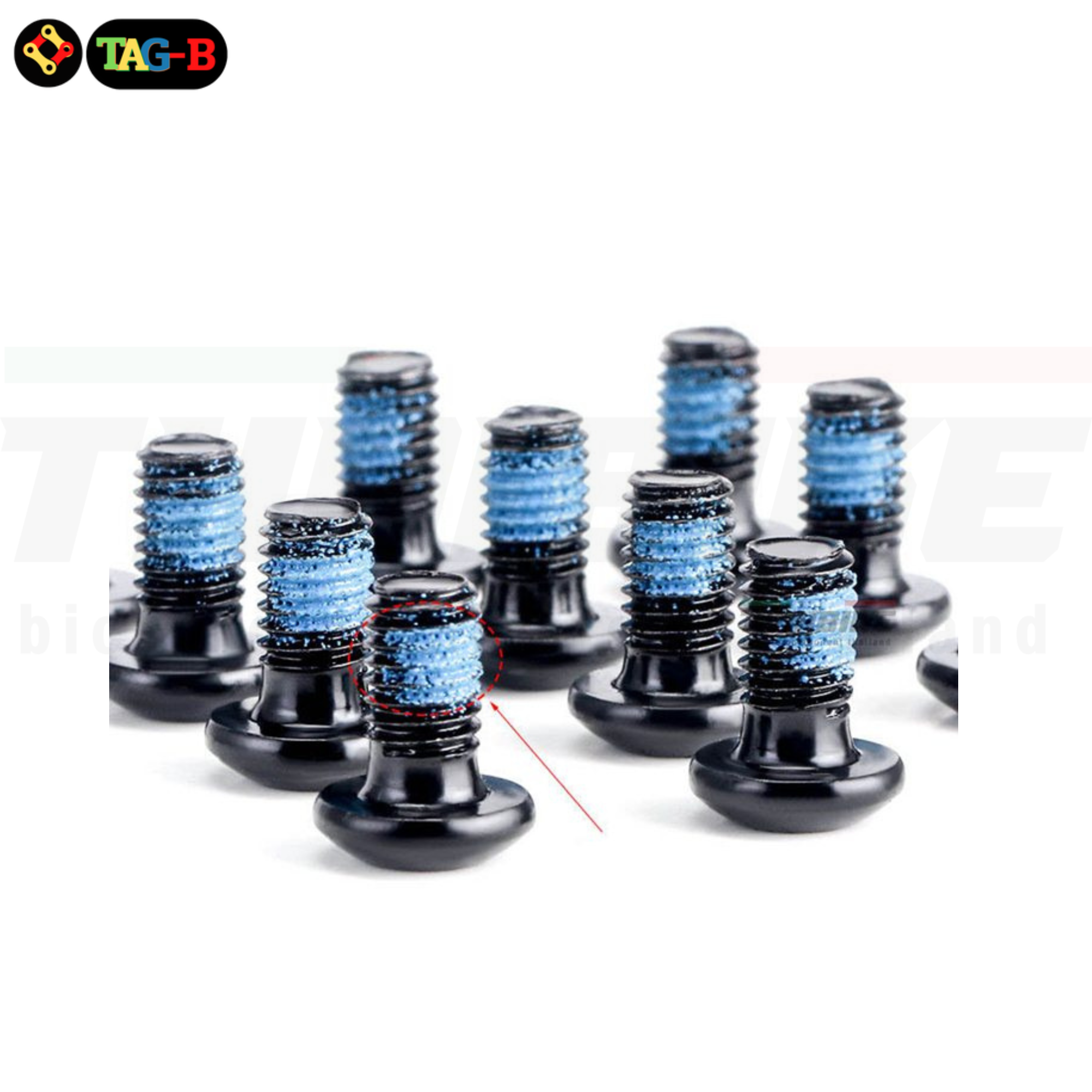 น็อตใบดิสเบรคจักรยาน THAIBIKE สแตนเลสไม่เป็นสนิม 6 ตัว