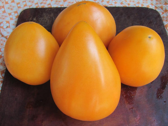 Tomato Seeds Heart Ashgabat Ukraine