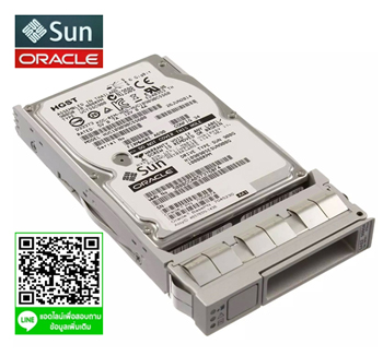 SUN,Oracle,7308971,7309429,SUN 1.2TB,10K,2.5inc,SAS HDD