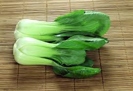 ผักกวางตุ้งต้น Pakchoi