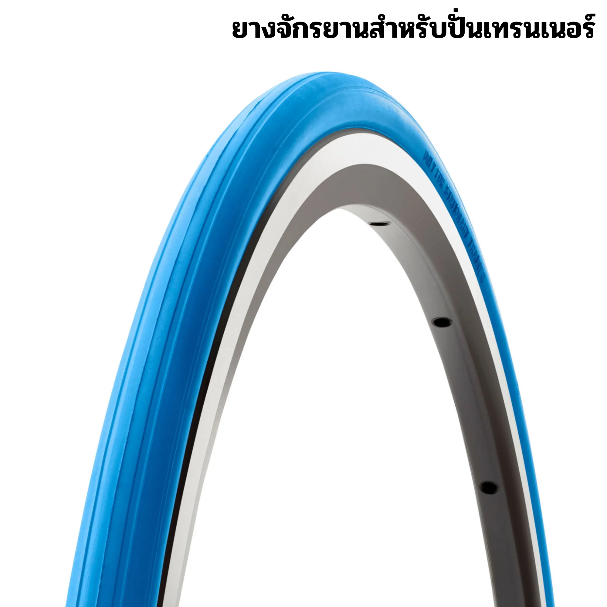 ยางนอกจักรยานปั่นเทรนเนอร์ Tacx Trainer Tire 700c 27.5 Special Trainer Compound