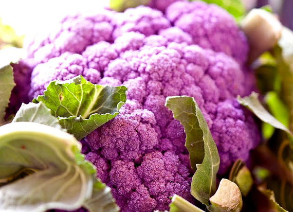 Purple Cauliflower Garden Vegetable seed