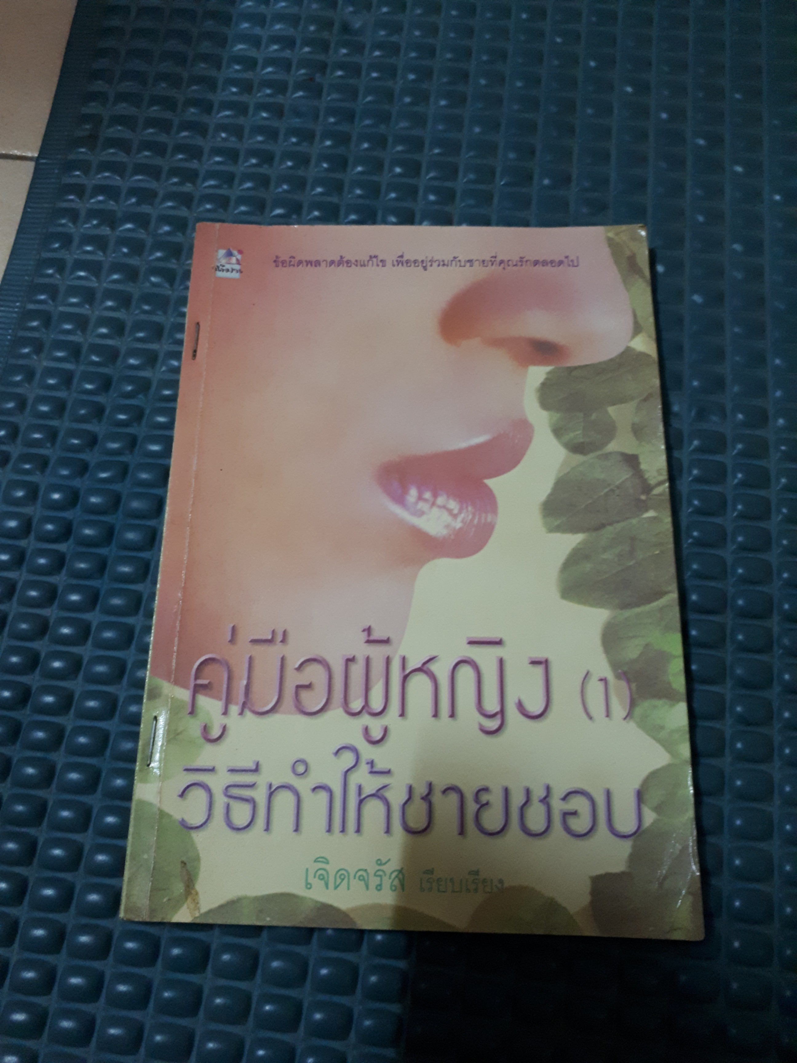 คู่มือผู้หญิงวิธีทำให้ชายชอบ