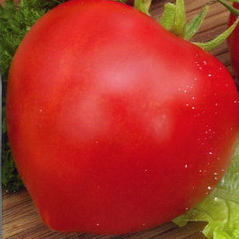 Tomato Vegetable seeds Red Budenovka