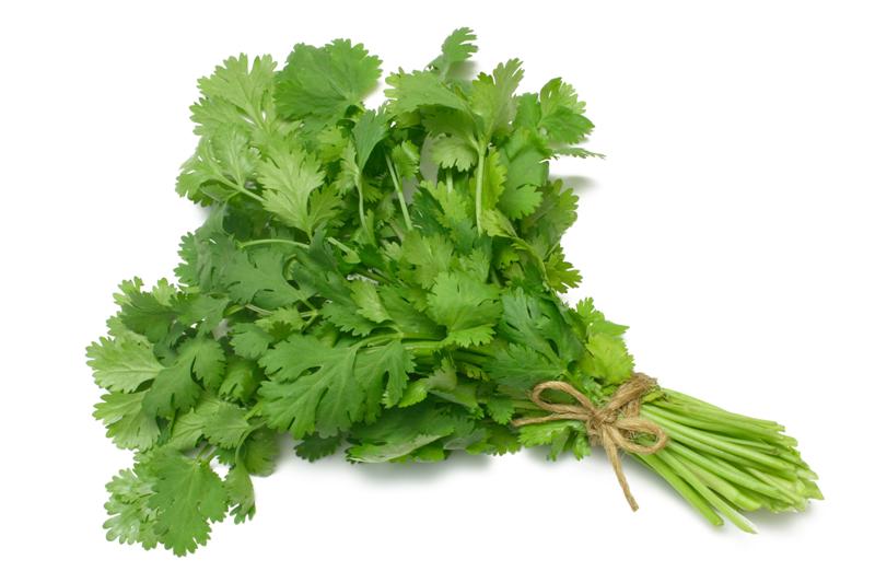 ผักชีไทย Coriander