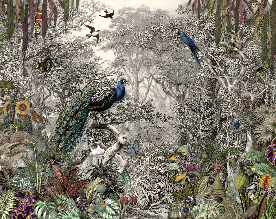 วอลเปเปอร์ภาพป่าเขตร้อน Tropical (สั่งผลิต)