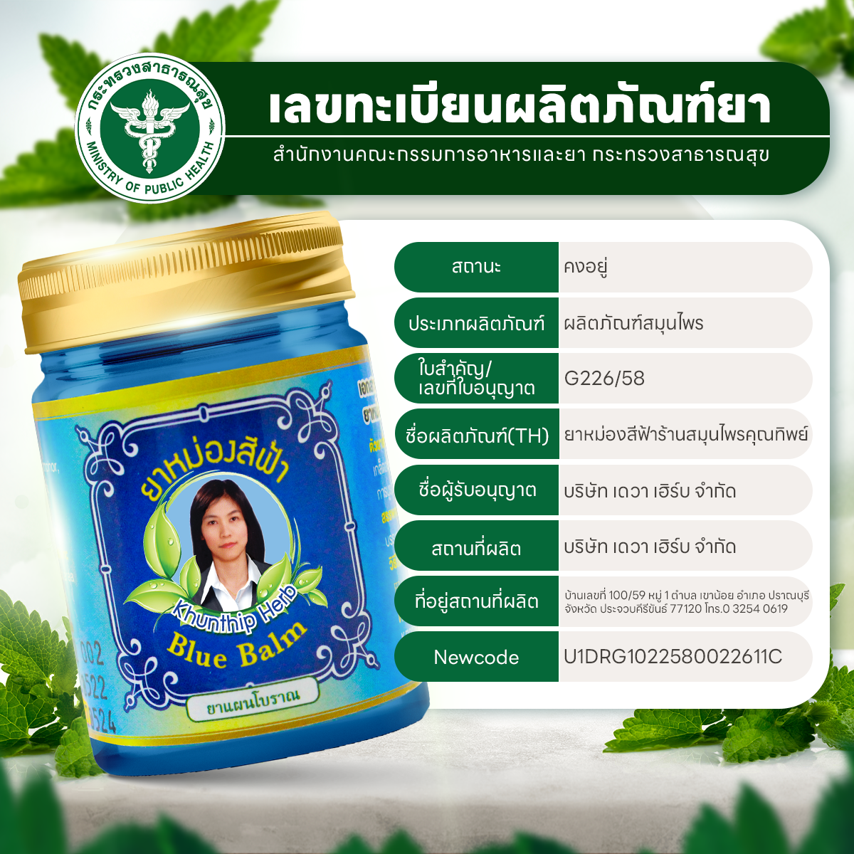 ยาหม่องน้ำมันสีฟ้า (Blue Herbal Balm) ยาหม่องสีฟ้า สูตรเย็น ตราคุณทิพย์ ขนาด 50 กรัม