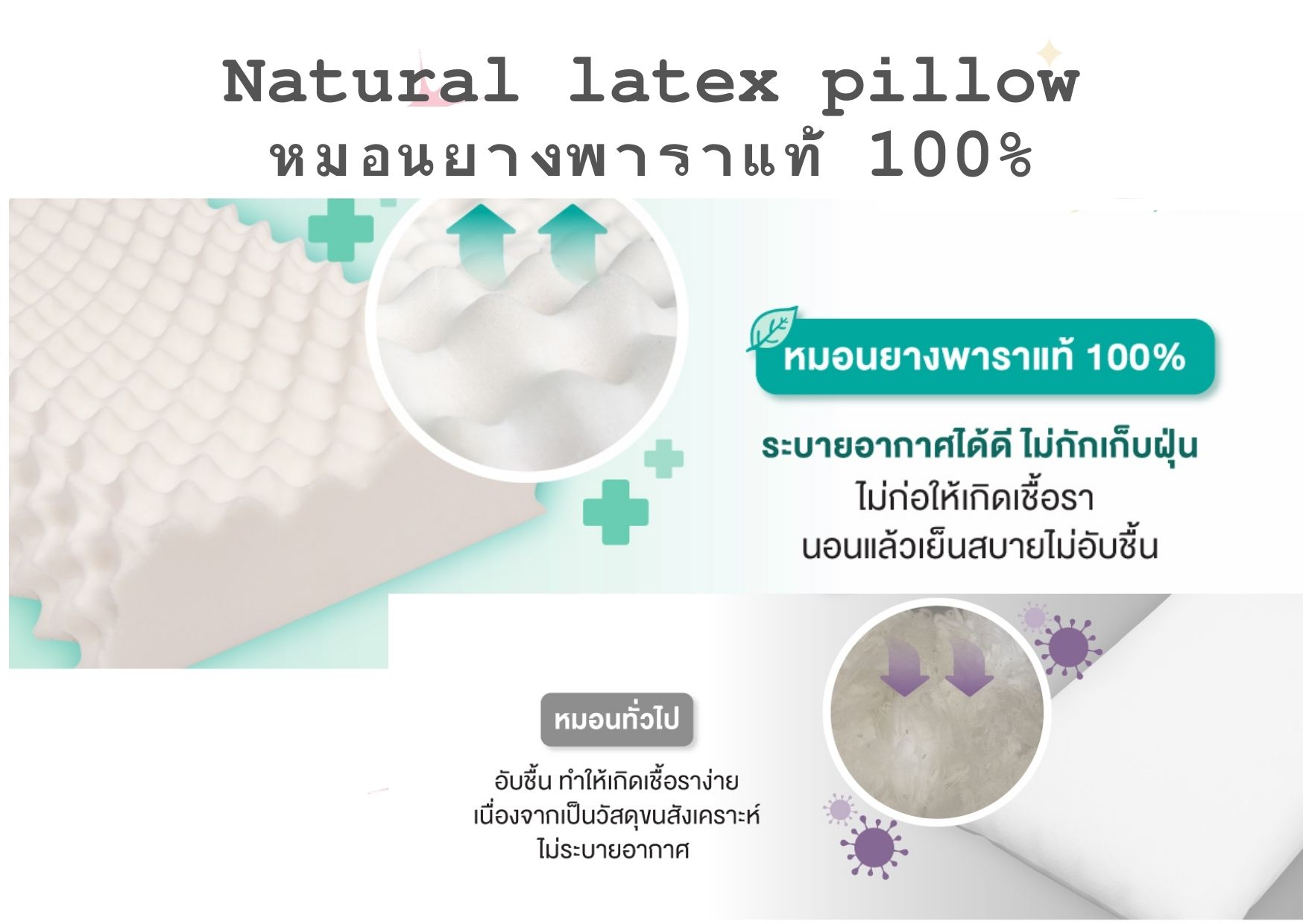 Rehab หมอนยางพารา เพื่อสุขภาพ รุ่น Standard Queen นอนหลับสบายตลอดคืนไม่ปวดคอ