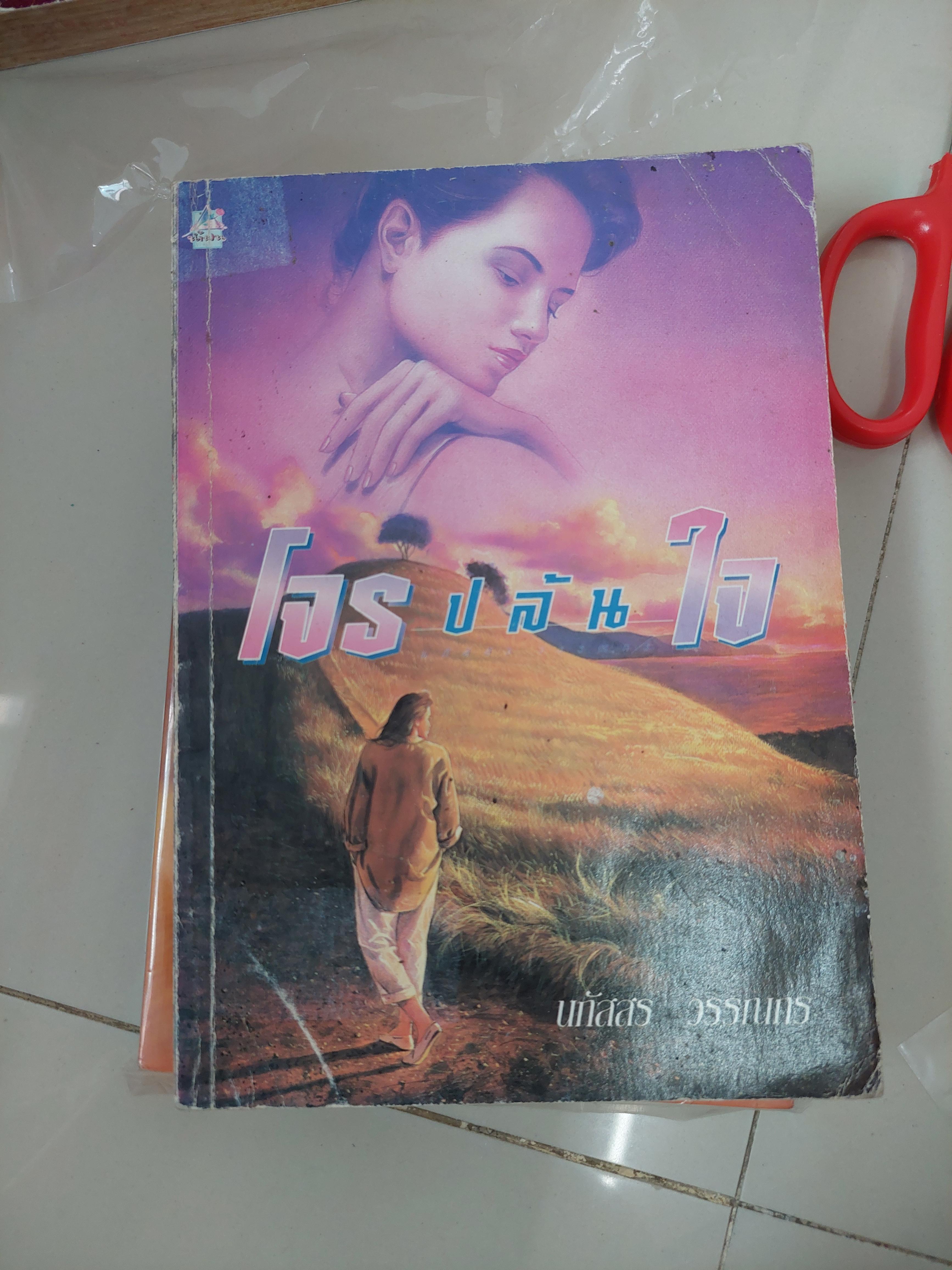 โจรปล้นใจ /นภัสสร วรรณกร
